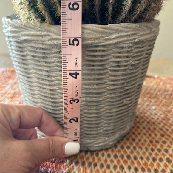 Faux Potted Cactus Arrangement - Picture 9 of 14